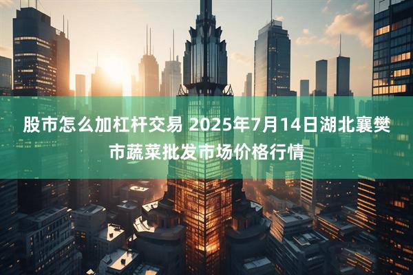 股市怎么加杠杆交易 2025年7月14日湖北襄樊市蔬菜批发市场价格行情