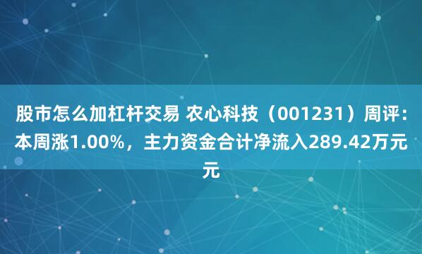 股市怎么加杠杆交易 农心科技（001231）周评：本周涨1.00%，主力资金合计净流入289.42万元